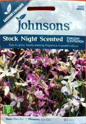 Stock Night Scented Starlight Scentsation Seed